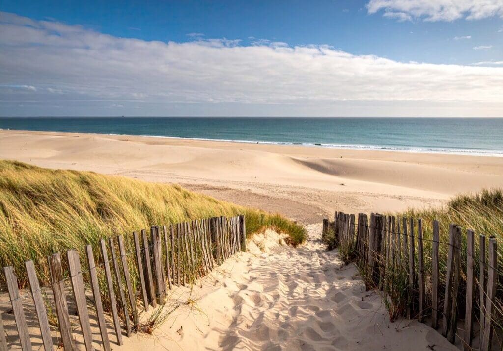Sandy Beach Path with Wooden Fence under Blue Sky